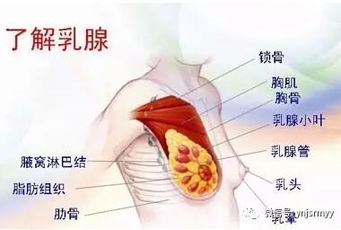 【医讯】关注乳房健康——省级专家到建水县人民医院坐诊
